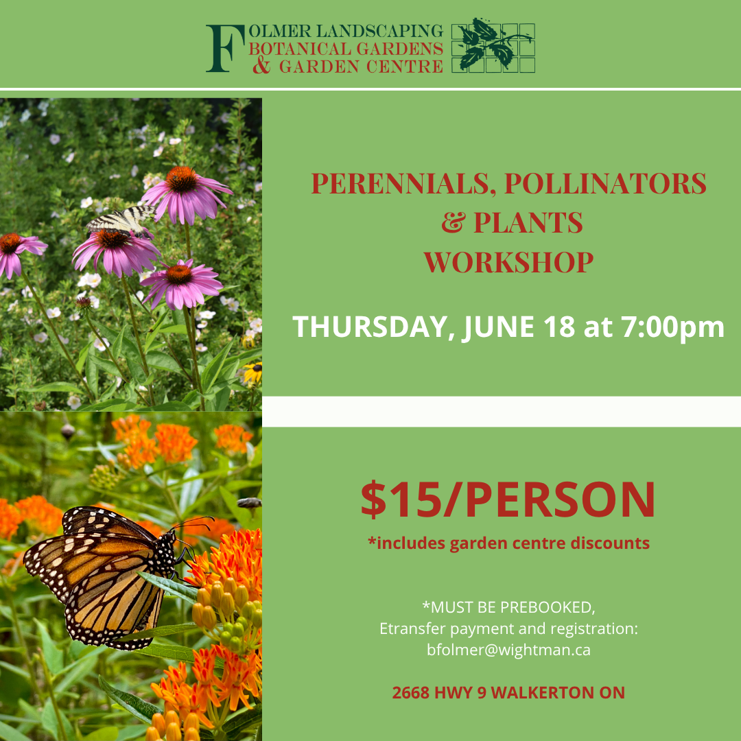 Perennials, Pollinators and Plants Workshop