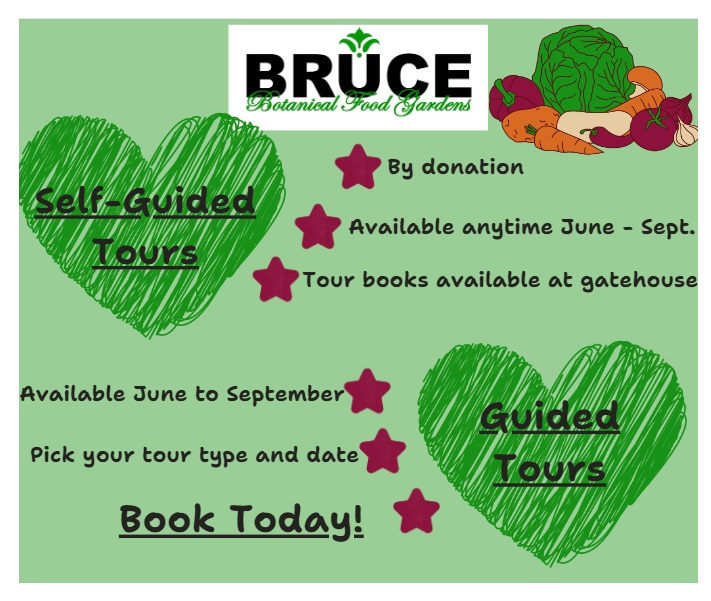 tours