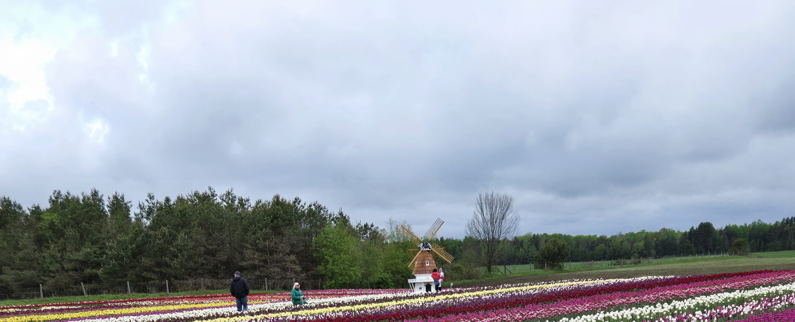 Beautiful rural garden