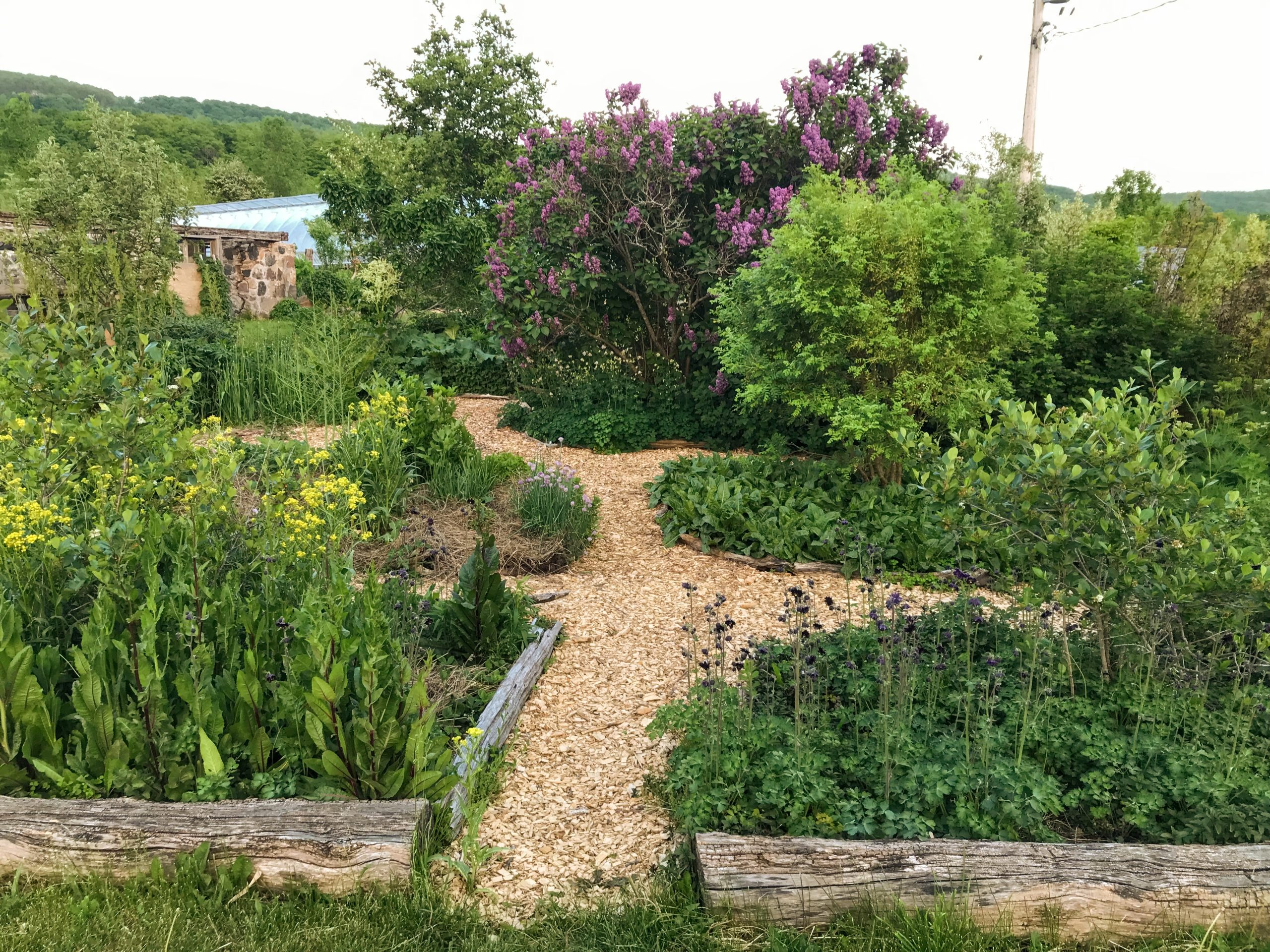 Fiddlehead Nursery